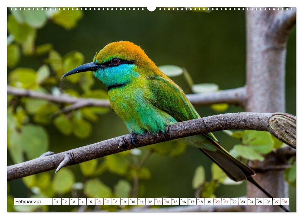 SRI LANKA Magische Nationalparks (CALVENDO Premium Wandkalender 2027)