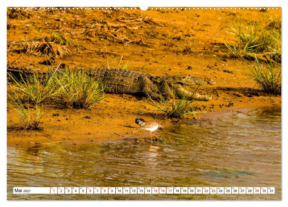 SRI LANKA Magische Nationalparks (CALVENDO Premium Wandkalender 2027)