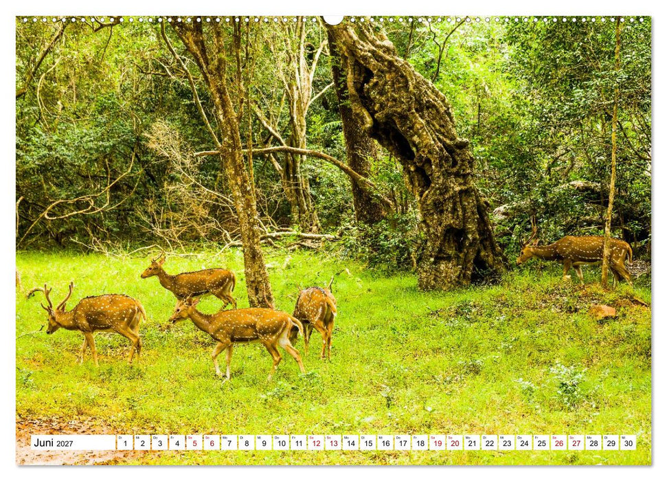 SRI LANKA Magische Nationalparks (CALVENDO Premium Wandkalender 2027)