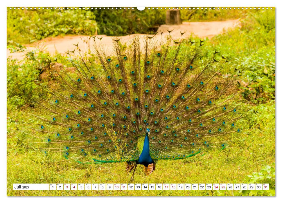 SRI LANKA Magische Nationalparks (CALVENDO Premium Wandkalender 2027)