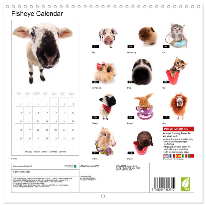 Fisheye Calendar (CALVENDO Monthly Calendar 2027)