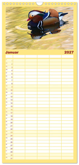 Mandarinenenten, die Liebe zur Natur (CALVENDO Familienplaner 2027)