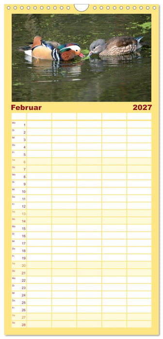 Mandarinenenten, die Liebe zur Natur (CALVENDO Familienplaner 2027)
