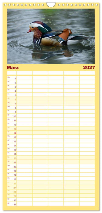 Mandarinenenten, die Liebe zur Natur (CALVENDO Familienplaner 2027)