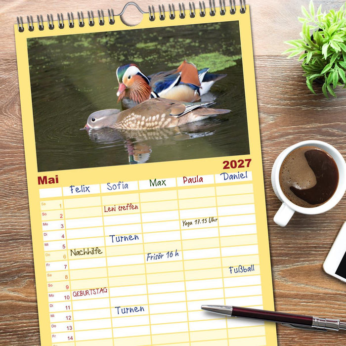 Mandarinenenten, die Liebe zur Natur (CALVENDO Familienplaner 2027)