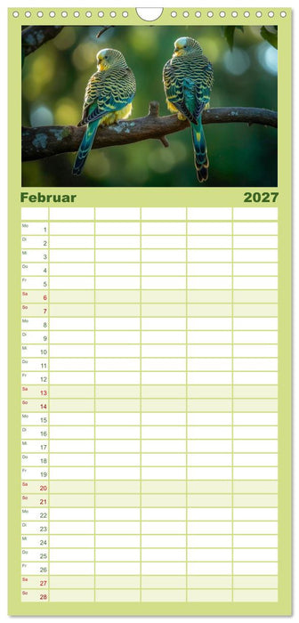 Wellensittiche farbenfroh und munter (CALVENDO Familienplaner 2027)