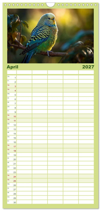 Wellensittiche farbenfroh und munter (CALVENDO Familienplaner 2027)