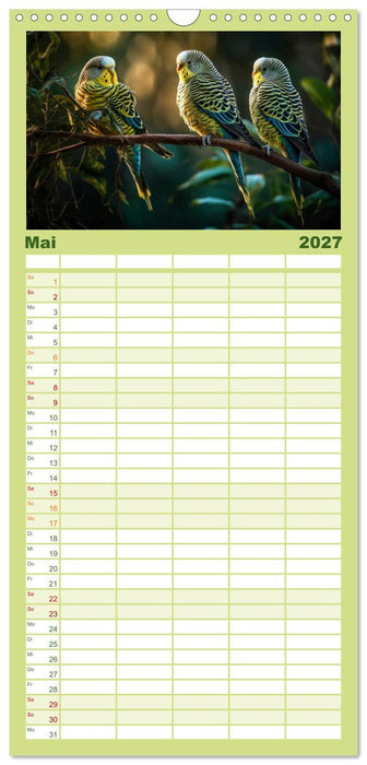 Wellensittiche farbenfroh und munter (CALVENDO Familienplaner 2027)