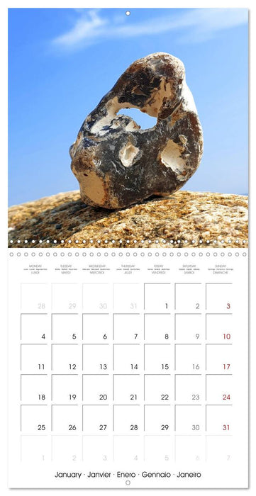 Twelve lucky charms for you (CALVENDO Monthly Calendar 2027)