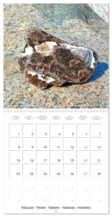 Twelve lucky charms for you (CALVENDO Monthly Calendar 2027)