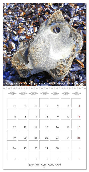 Twelve lucky charms for you (CALVENDO Monthly Calendar 2027)