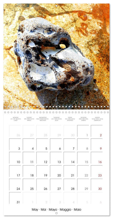 Twelve lucky charms for you (CALVENDO Monthly Calendar 2027)