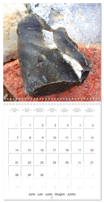 Twelve lucky charms for you (CALVENDO Monthly Calendar 2027)