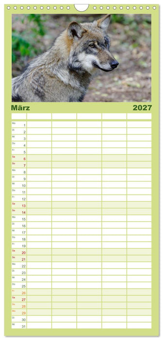 Unsere Wölfe - Ein Wildtier kehrt zurück (CALVENDO Familienplaner 2027)