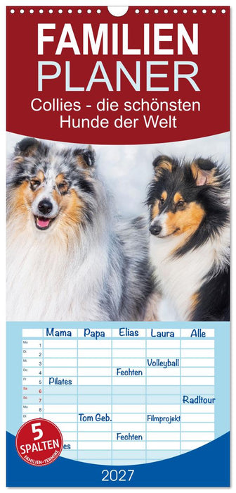 Collies - die schönsten Hunde der Welt (CALVENDO Familienplaner 2027)