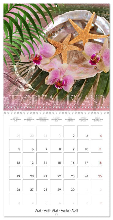 Life is better at the sea (CALVENDO Monthly Calendar 2027)