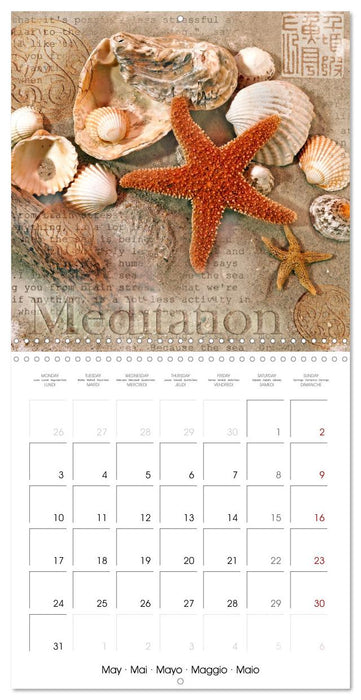 Life is better at the sea (CALVENDO Monthly Calendar 2027)