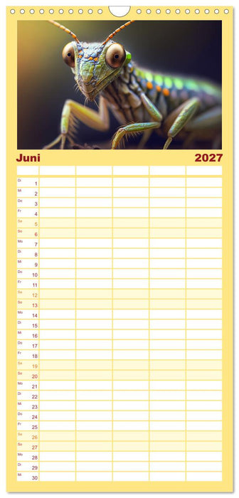 Kleine Tiere ganz nah (CALVENDO Familienplaner 2027)