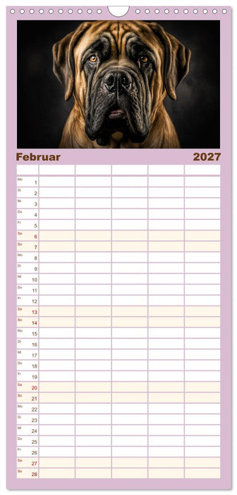 Hunde Porträts (CALVENDO Familienplaner 2027)