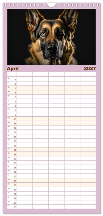 Hunde Porträts (CALVENDO Familienplaner 2027)
