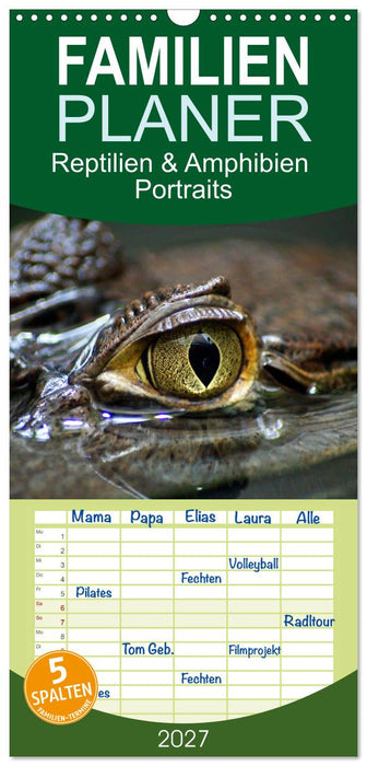 Reptilien & Amphibien Portraits (CALVENDO Familienplaner 2027)