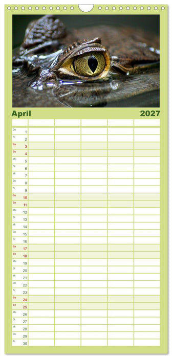 Reptilien & Amphibien Portraits (CALVENDO Familienplaner 2027)