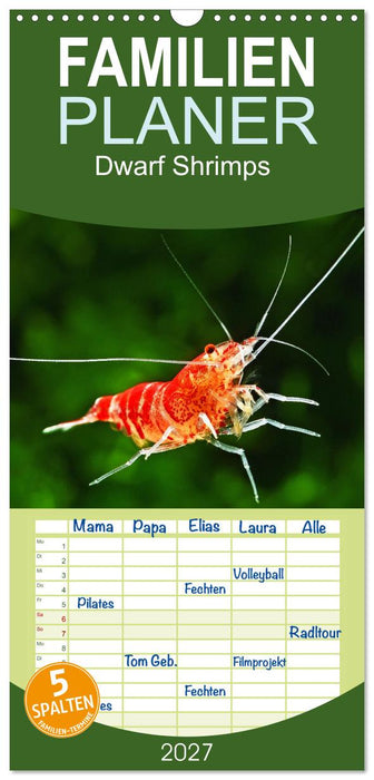 Dwarf Shrimps (CALVENDO Familienplaner 2027)