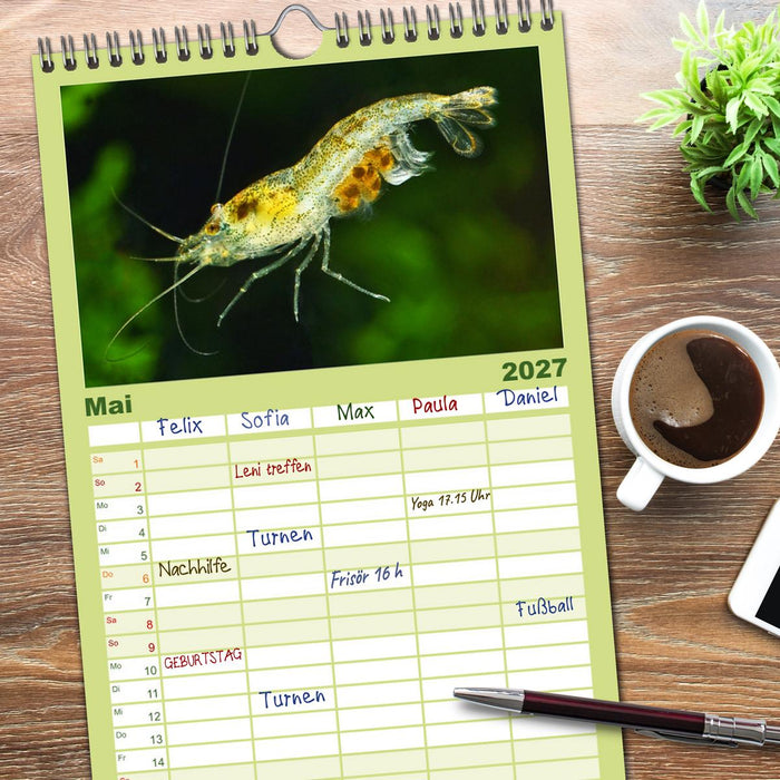 Dwarf Shrimps (CALVENDO Familienplaner 2027)