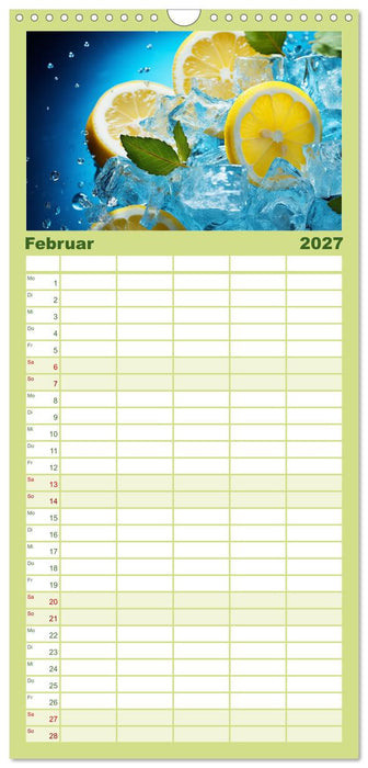 Sauer Gelb Lecker (CALVENDO Familienplaner 2027)