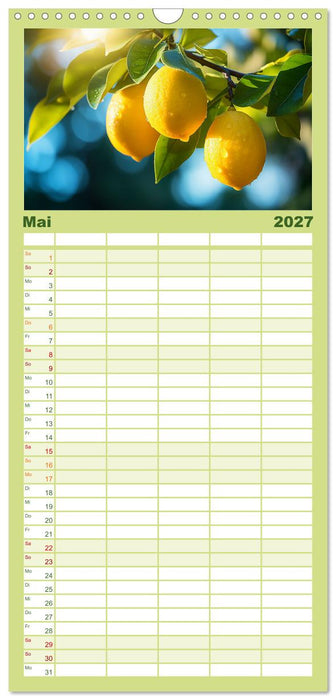 Sauer Gelb Lecker (CALVENDO Familienplaner 2027)