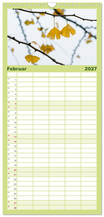 Mit Ginkgo biloba durch das Jahr (CALVENDO Familienplaner 2027)