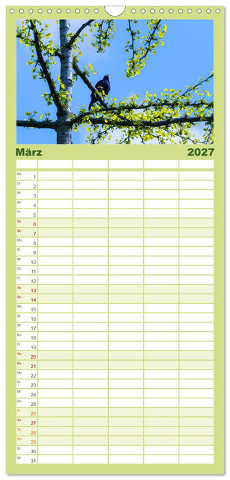 Mit Ginkgo biloba durch das Jahr (CALVENDO Familienplaner 2027)