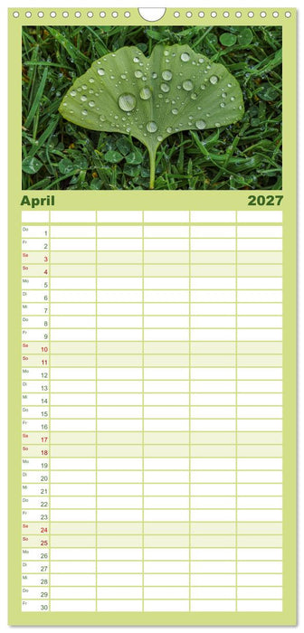 Mit Ginkgo biloba durch das Jahr (CALVENDO Familienplaner 2027)