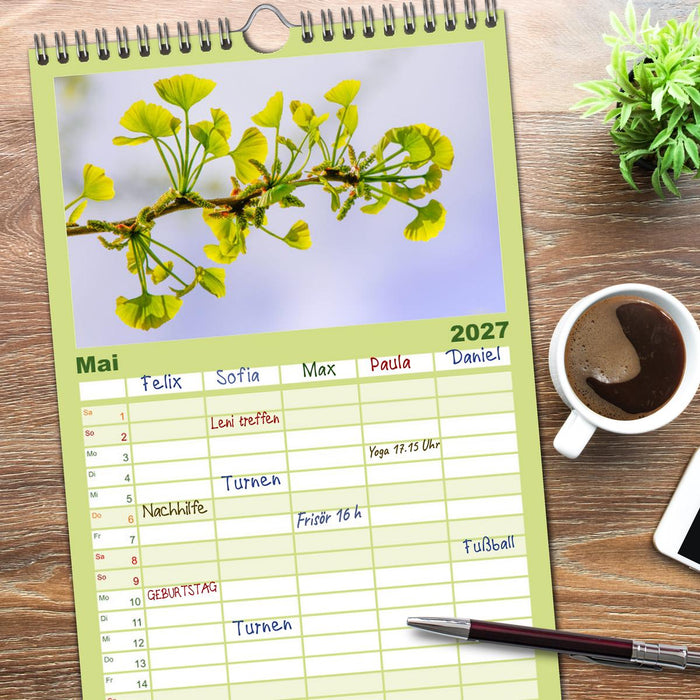 Mit Ginkgo biloba durch das Jahr (CALVENDO Familienplaner 2027)