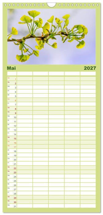 Mit Ginkgo biloba durch das Jahr (CALVENDO Familienplaner 2027)