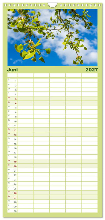 Mit Ginkgo biloba durch das Jahr (CALVENDO Familienplaner 2027)