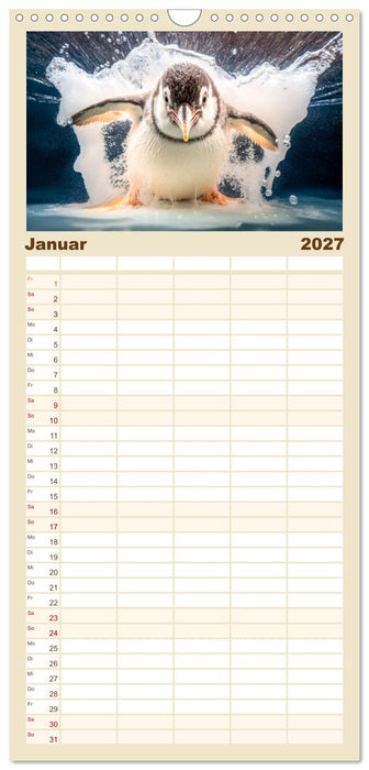 Tierkinder beim Baden (CALVENDO Familienplaner 2027)