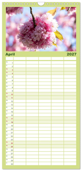 Typisch Magdeburg (CALVENDO Familienplaner 2027)