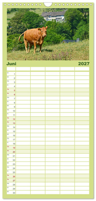 Lebenswertes Dedenborn (CALVENDO Familienplaner 2027)