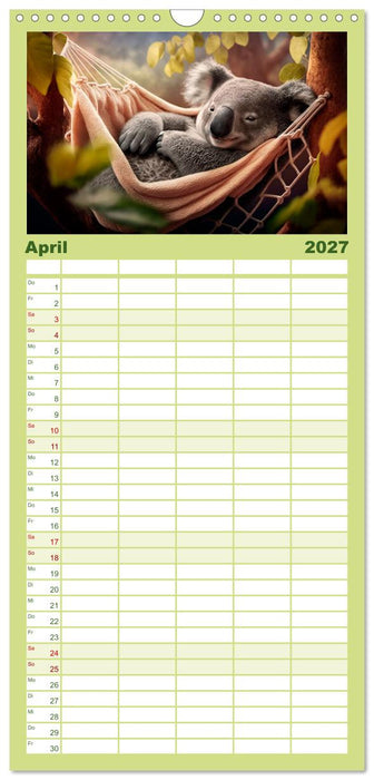 Die Koalas sind los! Ein Jahr voller Bärenspaß (CALVENDO Familienplaner 2027)