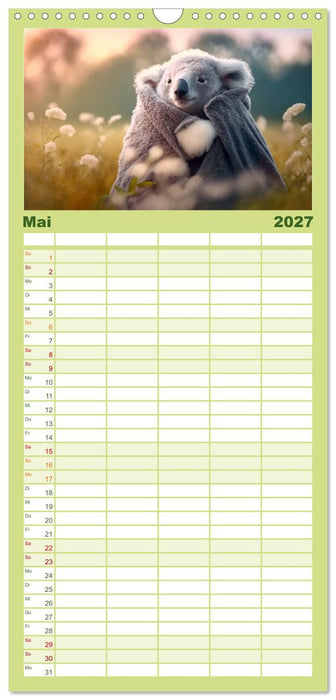 Die Koalas sind los! Ein Jahr voller Bärenspaß (CALVENDO Familienplaner 2027)