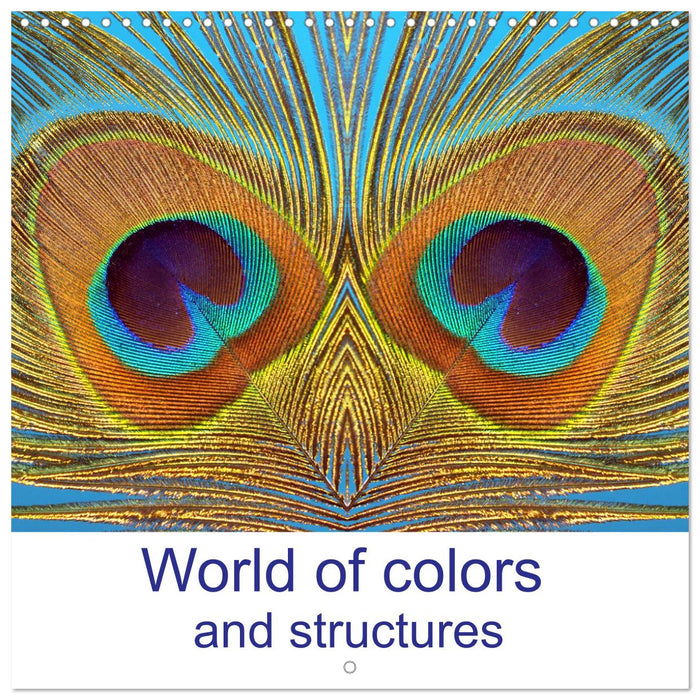 World of colors and structures (CALVENDO Monthly Calendar 2027)