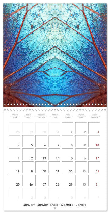 World of colors and structures (CALVENDO Monthly Calendar 2027)