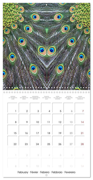 World of colors and structures (CALVENDO Monthly Calendar 2027)