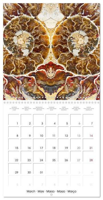 World of colors and structures (CALVENDO Monthly Calendar 2027)