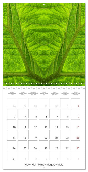 World of colors and structures (CALVENDO Monthly Calendar 2027)