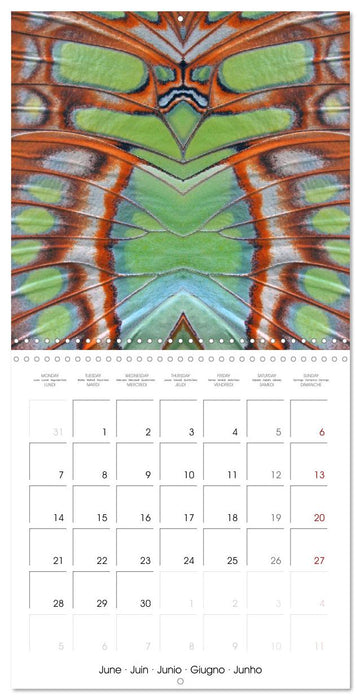 World of colors and structures (CALVENDO Monthly Calendar 2027)