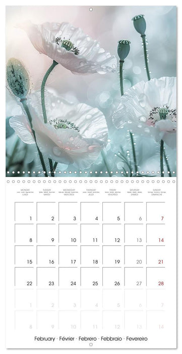 Magical Poppies (CALVENDO Monthly Calendar 2027)