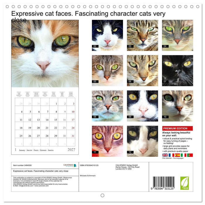 Expressive cat faces. Fascinating character cats very close (CALVENDO Monthly Calendar 2027)