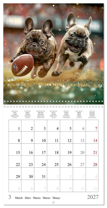 French Bulldogs (CALVENDO Monthly Calendar 2027)